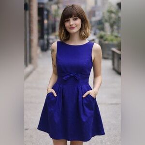 Birds of North America cobalt Blue Open Back Dress w/ Pockets size US6